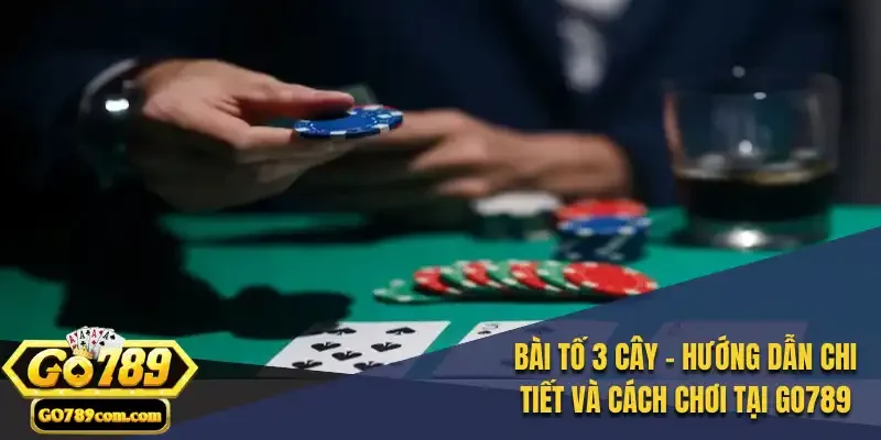 Bài Tố 3 Cây - Hướng Dẫn Chi Tiết và Cách Chơi Tại Go789 2 Bài Tố 3 Cây