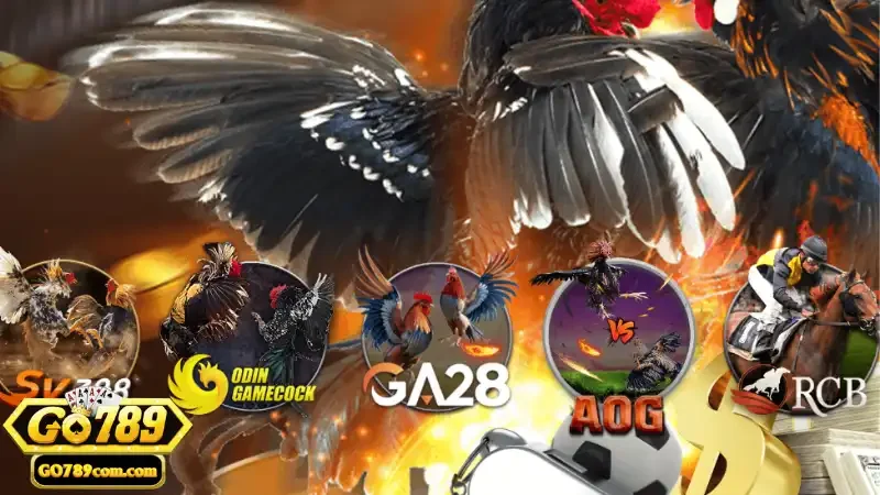 Dịch vụ cá cược chất lượng đỉnh cao theo chuẩn quốc tế